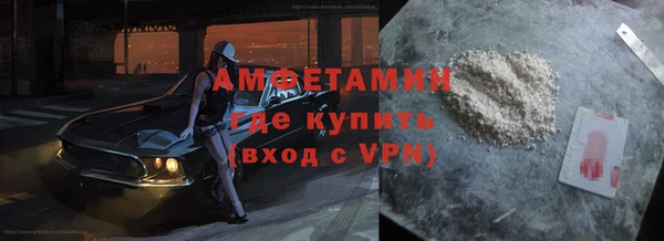 шишки Бородино