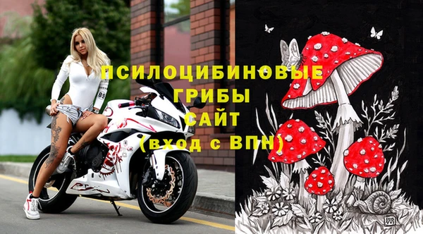 шишки Бородино