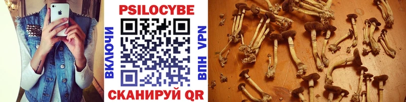 Галлюциногенные грибы Psilocybine cubensis  наркотики  Бородино 
